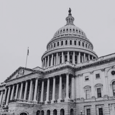 about ngoa fl img allery img 03 about ngoa fl img allery img 03