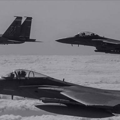 about ngoa fl img allery img 04 about ngoa fl img allery img 04